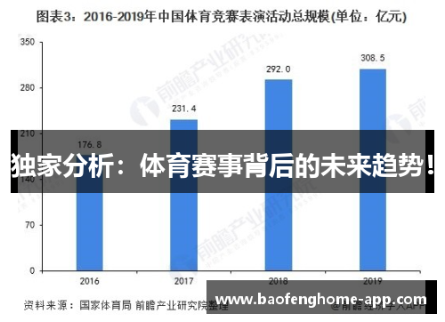 独家分析：体育赛事背后的未来趋势！